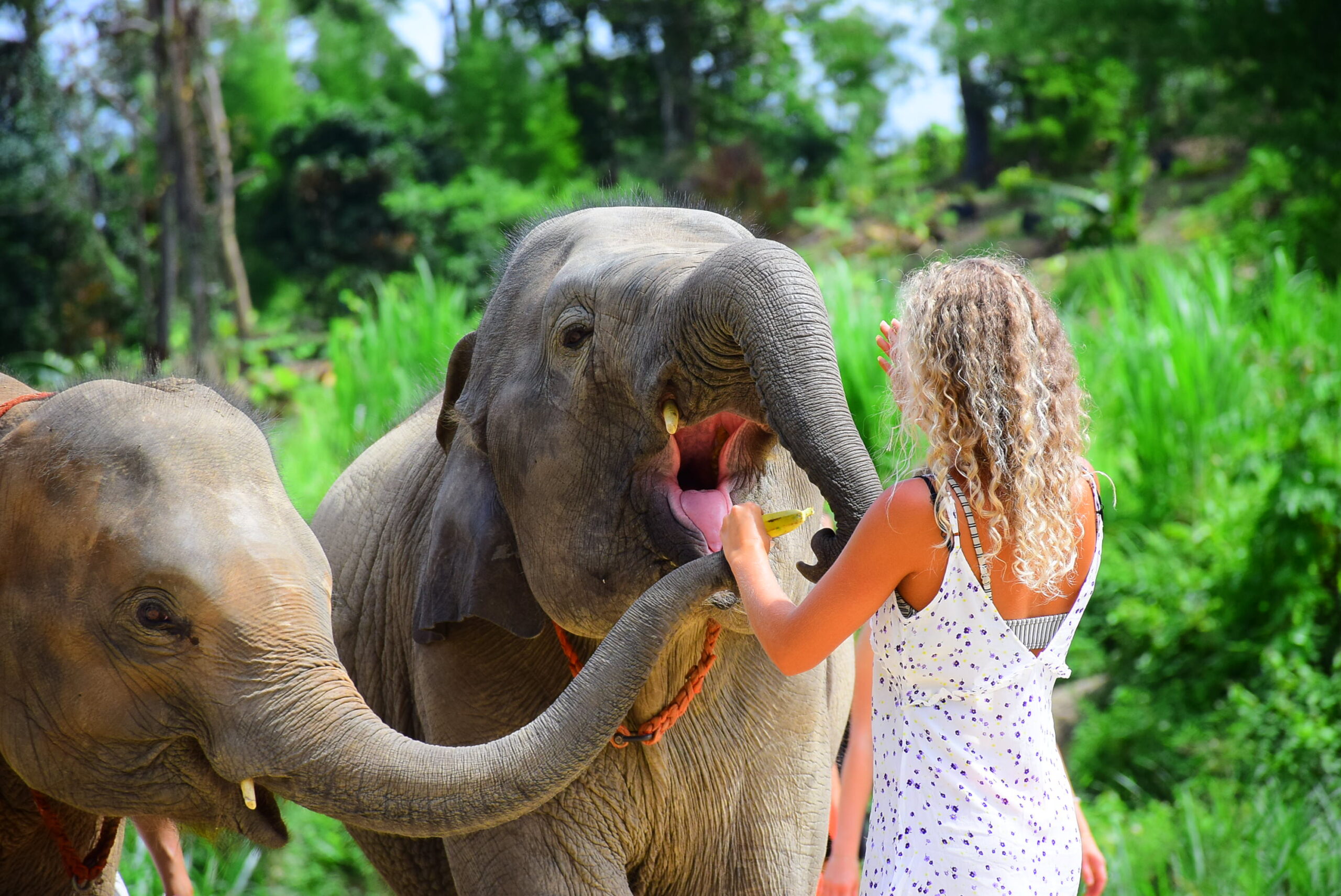 Adventure Tour