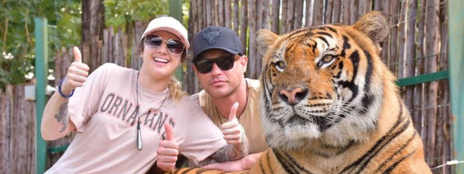 Tiger Kigdom