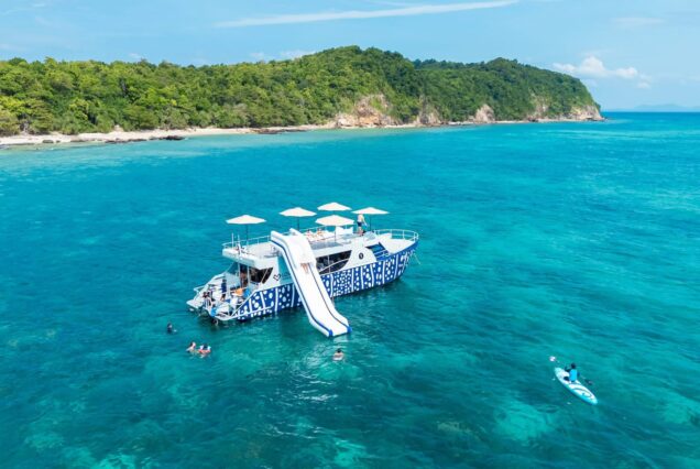 Whale Shark Fleet catamaran Phi Phi Maya Maiton Islands + a longtailboat( premium service)