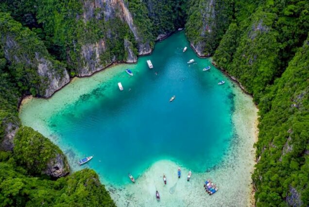 Early Bird Maya bay Bamboo Phi Phi Island 4 engines speedboat +longtailboat ( premuim service)