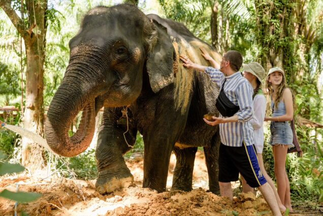 🐘 KHAOLAK ELEPHANT CONSERVATION Ethical & Sustainable Elephant Experiences