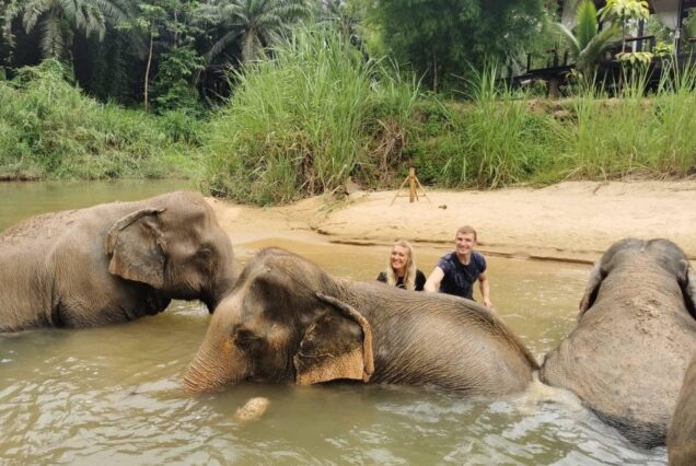 🐘 KRABI ELEPHANT HOUSE SANCTUARY