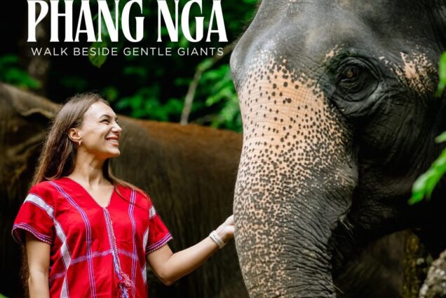 PHANG NGA ELEPHANT CARE THAILAND