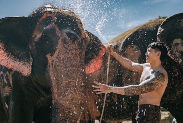 PHUKET ELEPHANT CARE SANCTUARY.