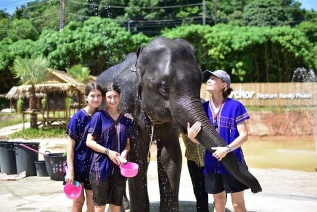 🐘 KERCHOR ELEPHANT FAMILY PARK – HALF DAY PROGRAM ITINERARY