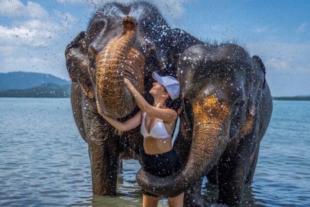 Siray Elephant Beach Care Sanctury 
